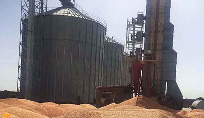 تداوم رشد قیمت کالاهای اساسی در جهان/ قیمت گندم امروز 3.5 دلار افزایش یافت