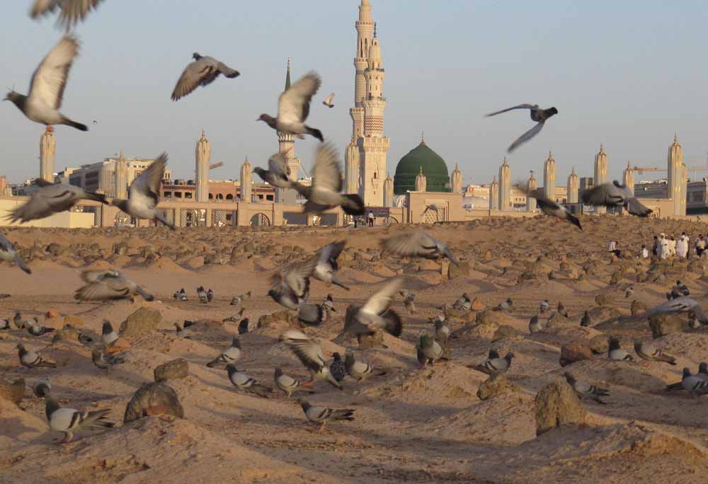  فیلم/ حال و هوای بقیع با حضور زائران