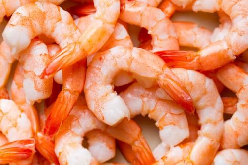  تولید میگوی گیاهی با استفاده از جلبک