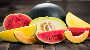  با طالبی و هندوانه عینکی نمی‌شوید