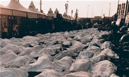 قیامت را در خیابان 204 دیدم/ سر رکن آبادی معلوم نبود