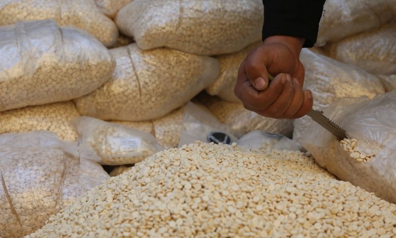 چند باند قاچاق مواد مخدر منهدم شد/ قاچاقچیان با افرادی در عربستان و امارات ارتباط داشتند 