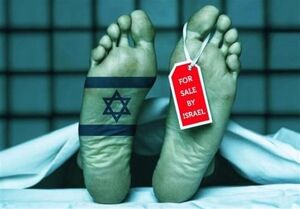  اعتراف آمریکا به کارنامه سیاه صهیونیست‌ها در قاچاق انسان