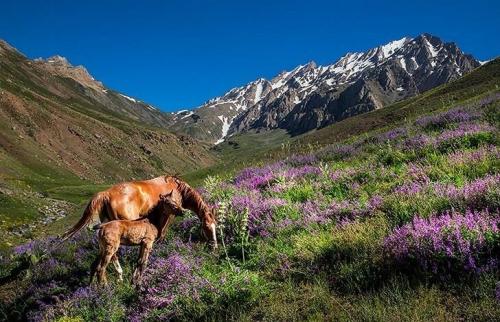 دیدنی‌های کوه پایه اشترانکوه