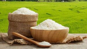 قیمت برنج کاهش می‌یابد؟