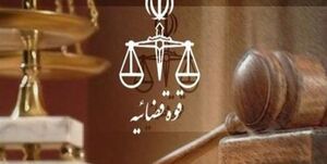 نماینده مجلس به ۲ سال حبس محکوم شد