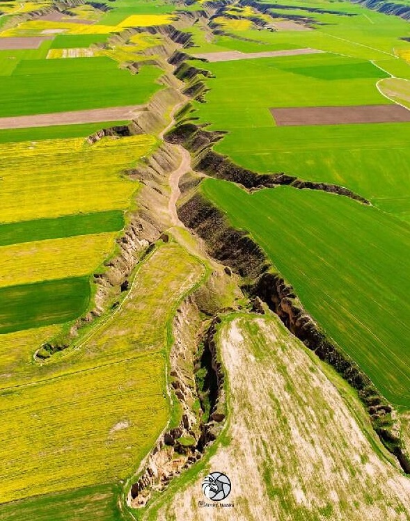 عکس/ ترکمن صحرای زیبا