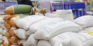  دولت چگونه برنج را ارزان کرد؟