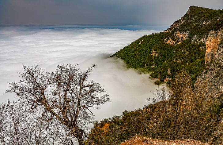 طبیعت جهان‌نما