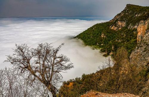 طبیعت جهان‌نما