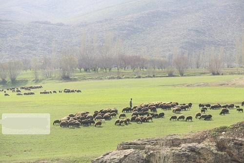 راهی که جهان برای حفظ مراتع و ذخیره‌سازی آب در پیش گرفت