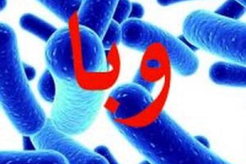 شناسایی ۶۸ مبتلا به وبا تاکنون 