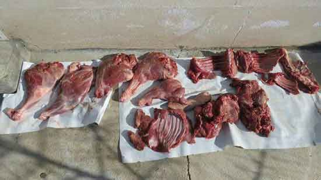  سرو گوشت گراز در تهران از شایعه تا واقعیت