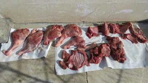  سرو گوشت گراز در تهران از شایعه تا واقعیت