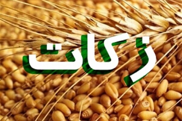 افزایش ۲۰درصدی پرداخت زکات در هرمزگان