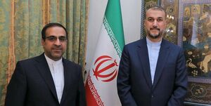  دیدار سفیر جدید ایران در هند با امیرعبداللهیان