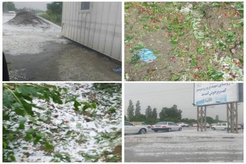 خسارت۲۱۵۹میلیاردتومانی بلایای طبیعی به بخش کشاورزی آذربایجان غربی