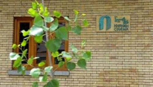  چه کسی مدیرعامل خانه سینما می‌شود؟ 