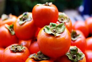  خرمالو بخوریم تا سرما نخوریم