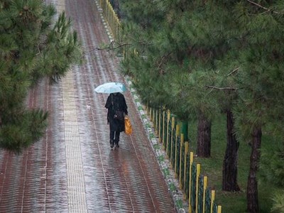 بارش باران در هفت استان کشور/ وزش باد شدید در تهران