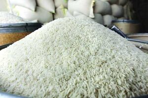  قیمت برنج در بازار شمال