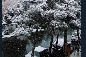 این برفم کار خودشونه+ عکس 