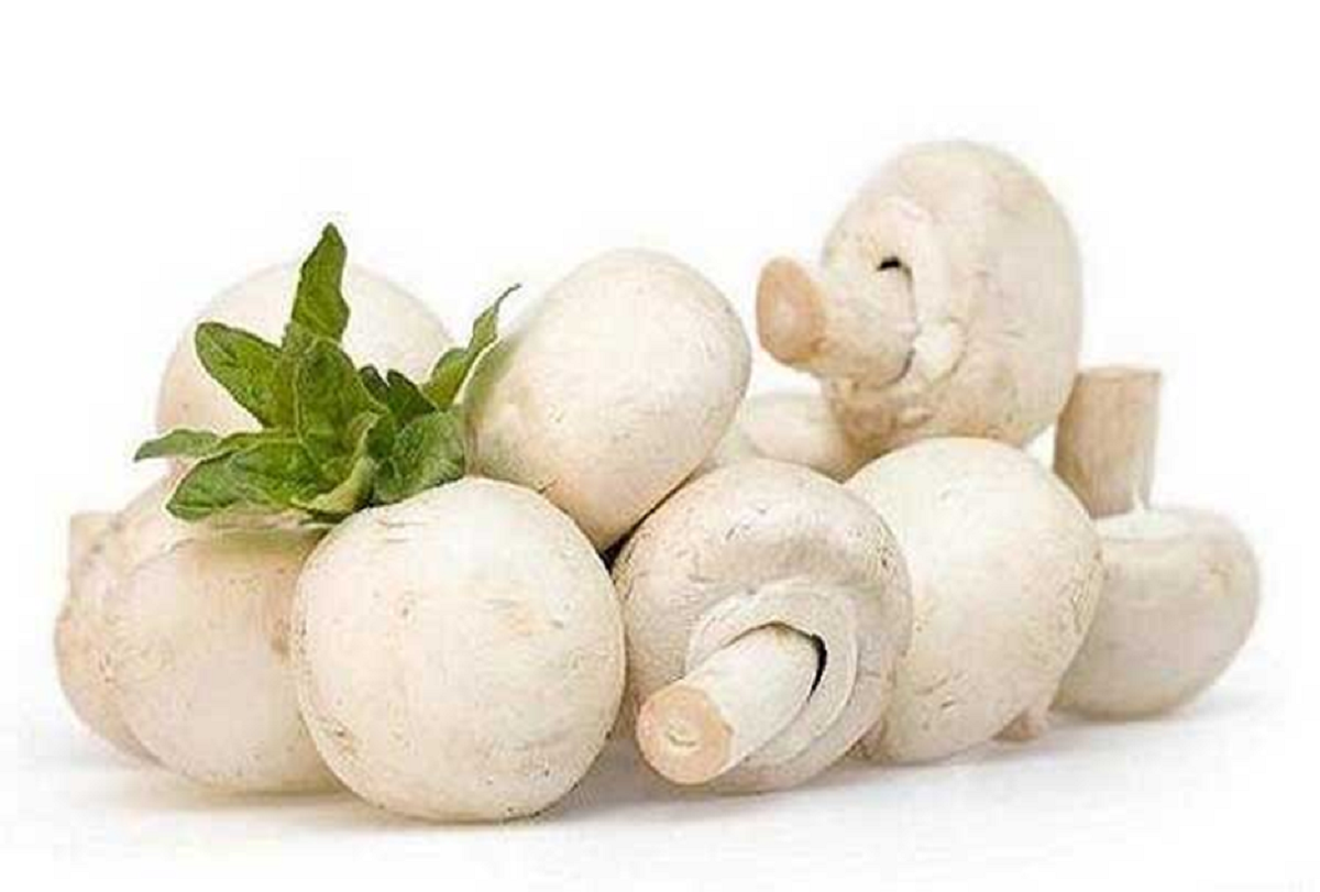 بهترین روش نگهداری قارچ چیست؟