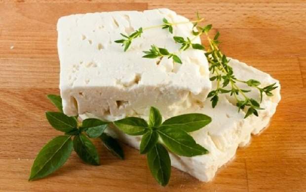 خوردن هر روزه پنیر برای بدن مفید است یا مضر؟