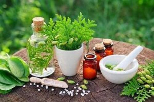 تب را به جای دارو با این گیاهان پایین بیاورید