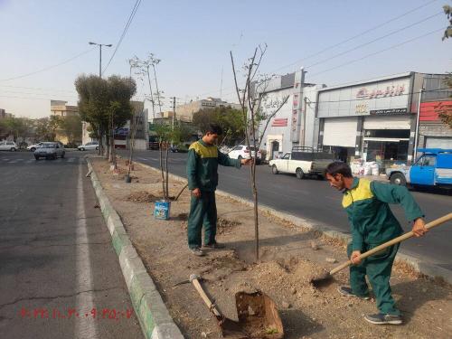 جزییات اجرای طرح «بهاران خدمت» با شعار «آمد بهار جان‌ها» در پایتخت