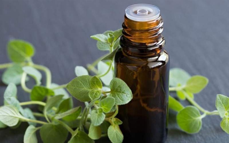 خواص درمانی روغن آویشن چیست؟