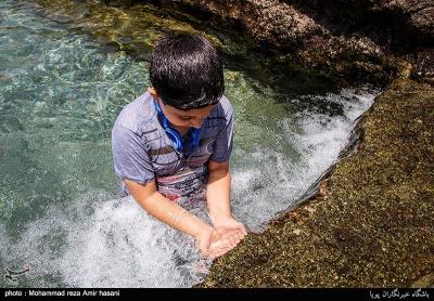 عکس/ آب تنی در چشمه علی 