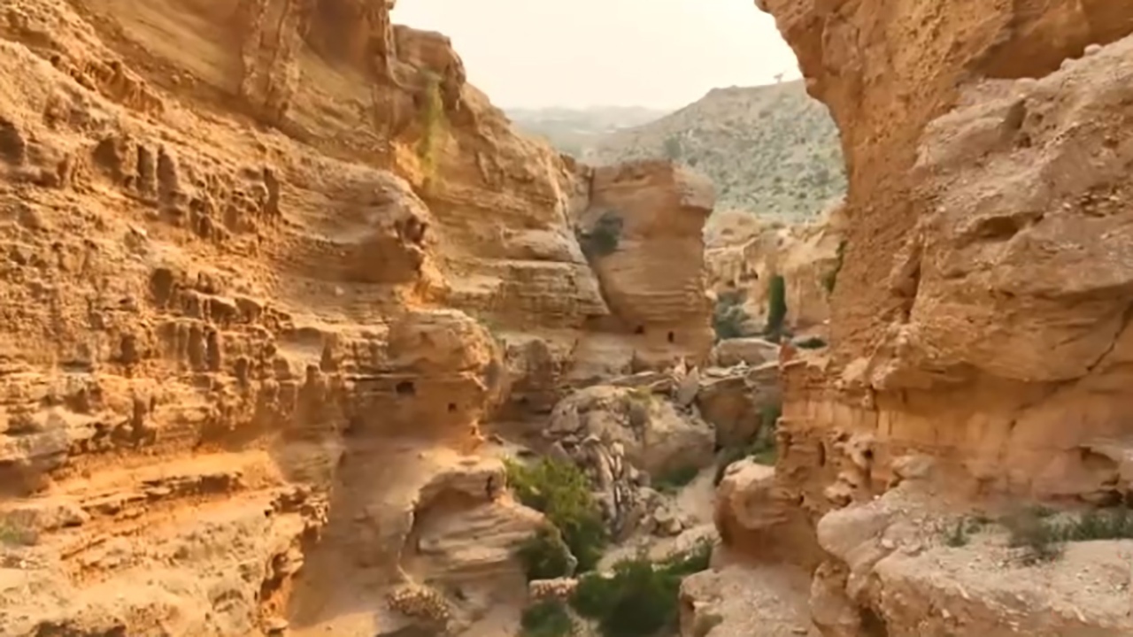  رسم عجیب برای دفن مردگان + فیلم