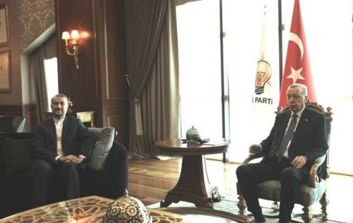 دیدار امیرعبداللهیان با اردوغان