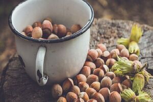  فواید فندق برای سلامتی