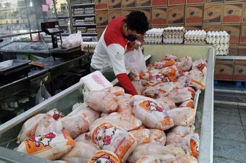  قیمت گوشت مرغ در بازار