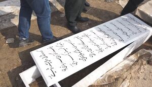 گریه ضدانقلاب بر سر قبری که مرده نداشت +عکس