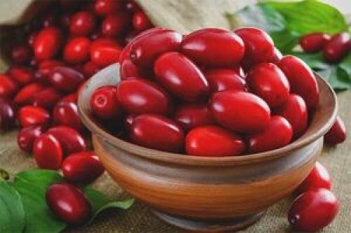  میوه‌ای مفید برای درمان چند بیماری