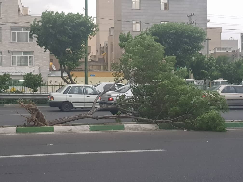 هشدار زرد هواشناسی درباره طوفان در تهران و ۷ استان دیگر