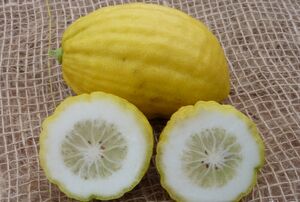 خواص معجزه‌آسای این میوه برای سلامتی