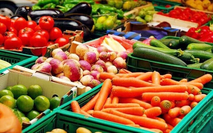 افزایش صادرات میوه های گرمسیری 
