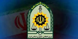  واکنش پلیس به رفتارخشونت‌آمیز با یک زن در تهران