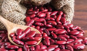 مهمترین خواص لوبیا قرمز