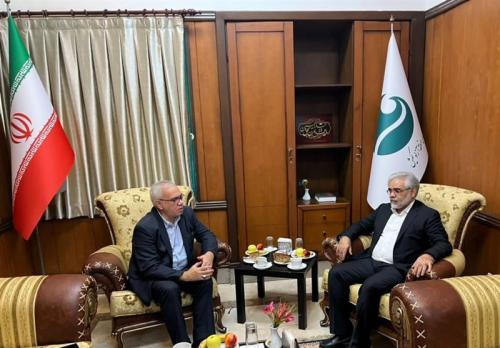خط‌ونشان سازمان خصوصی‌سازی برای استقلال 