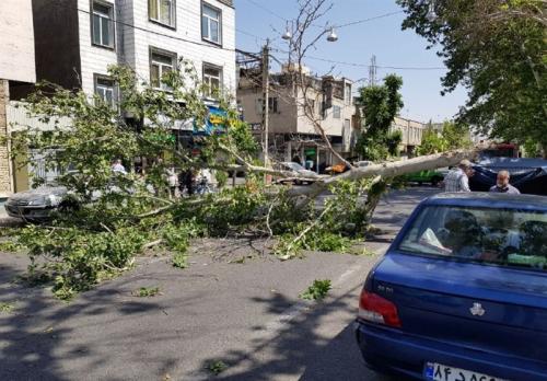  هواشناسی ایران ۱۴۰۲/۰۱/۱۶ 
