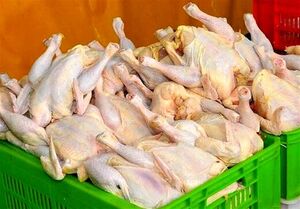 چرا مرغ دوباره گران شد؟ +جدول قیمت