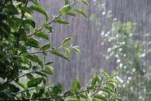  بارش باران و وزش باد در نقاط مختلف کشور