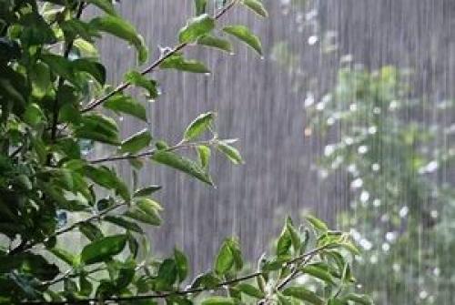  بارش باران و وزش باد در نقاط مختلف کشور