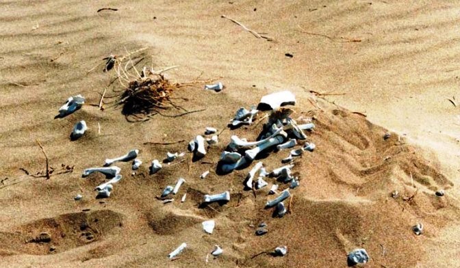  فکه، قتلگاه شهدا 