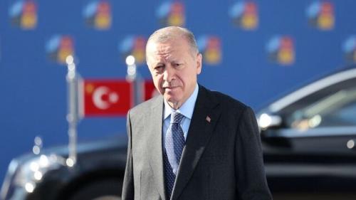 دیدارهای محرمانه رقیب انتخاباتی‌ اردوغان 